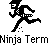 Ninja Term